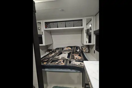 The Chihuahua Mobile