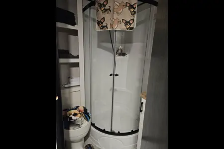 The Chihuahua Mobile