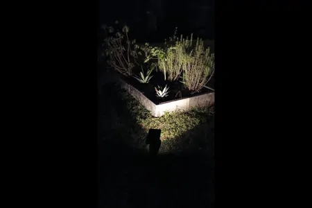 Wekiva Nest Glamping