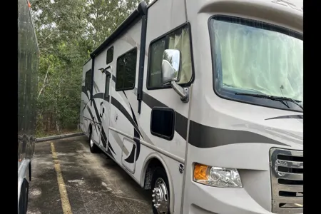 David's Thor Motor Coach Ace 29.2 Class A