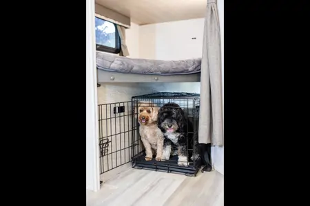 "Rocky" Forest River Rockwood Mini Lite 2509S Travel Trailer
