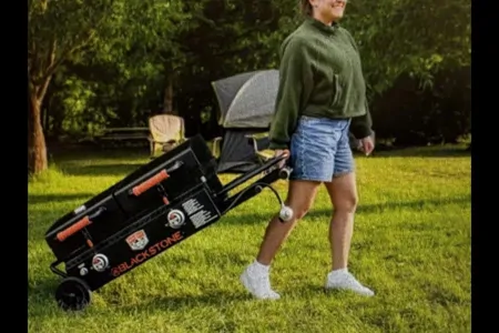 TKG Forest River Wildwood 273QBXL Travel Trailer