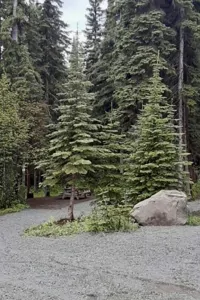 26’Family friendly RV set up at Jackpine Lake Wilderness Resort