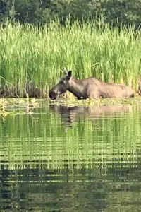 26’Family friendly RV set up at Jackpine Lake Wilderness Resort