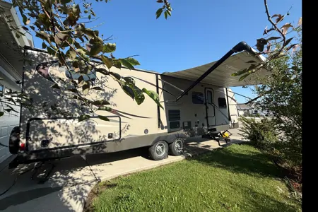 Daffodil Rv