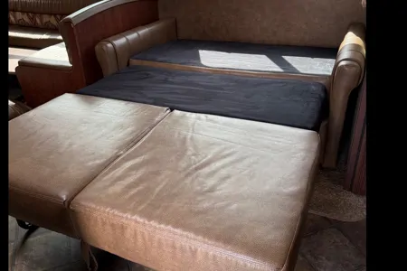 Daffodil Rv