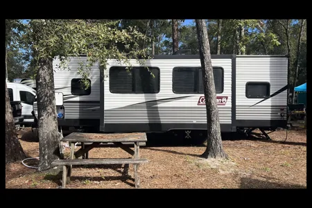 Layla's Dutchmen Coleman Lantern 263BH Travel Trailer
