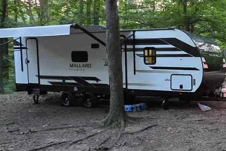 Campbells Travel