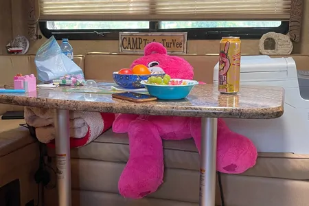 Bubbles - Thor Motor Coach Hurricane Class A