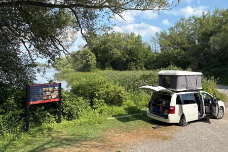 Bunky The Campervan