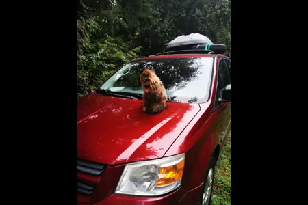 Raspberry the Campervan!