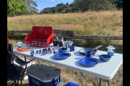 Raspberry the Campervan!