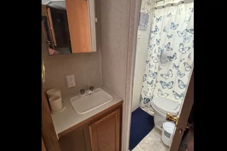 daisy's Forest River Salem lite Travel Trailer