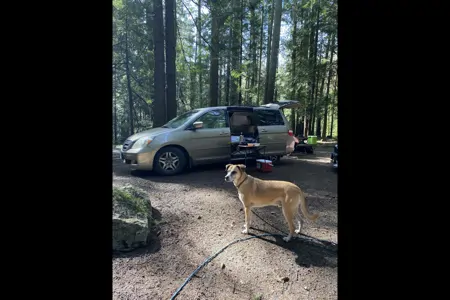 Odyssey: Ocean Island Campervan + Use of Inn Facilities