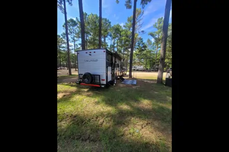 Monica's Forest River Wolf pup Travel Trailer