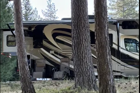 The Wilson Wagon