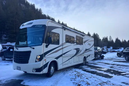 Nickita's Forest River FR30 D Class A