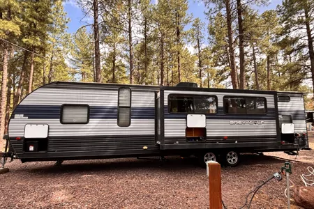 DARK SKY - Forest River GREY WOLF Travel Trailer