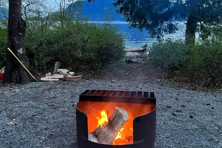 A Forest River Runs Through It