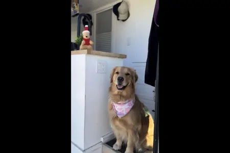 Premium Off-Grid Sprinter, Fully Equipped