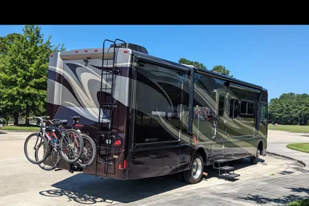 Miss Daisy - Space and Comfort