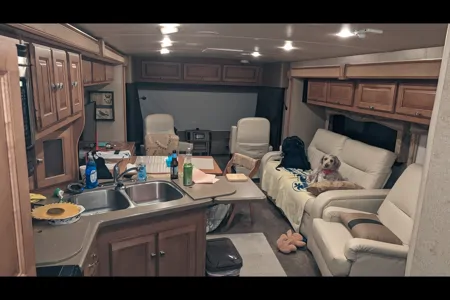 Miss Daisy - Space and Comfort