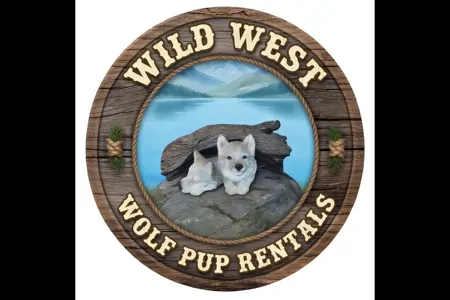 Start your boondocking adventure with the Wild West Wolf Pup!