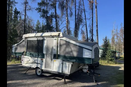 Zanela's Palomino 2010