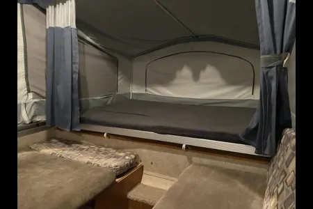 Zanela's Palomino 2010