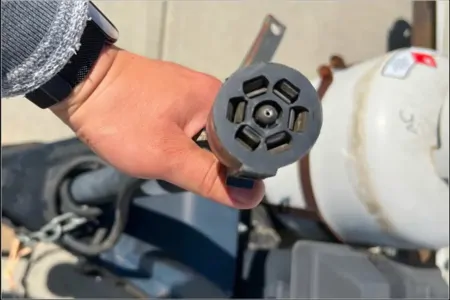 Zanela's Palomino 2010