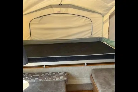 Zanela's Palomino 2010