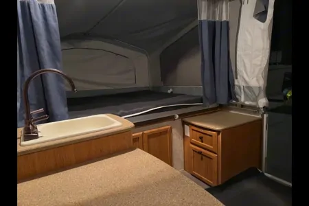 Zanela's Palomino 2010