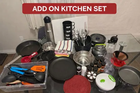 Zanela's Palomino 2010