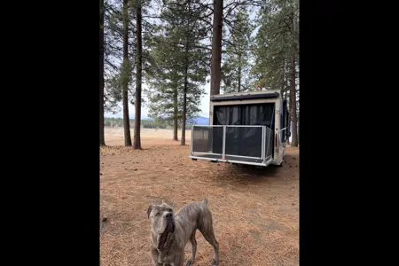 NYK Adventure Bus Thor Motor Coach Outlaw 29J Class C