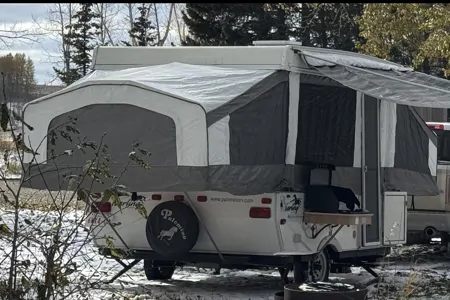 Hawk- Palomino Yearling Tent Trailer