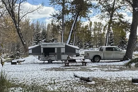 Hawk- Palomino Yearling Tent Trailer