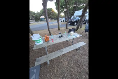 Loaded 2025 Keystone Springdale West 20bhwe Travel Trailer (Aka: Mungojerrie)