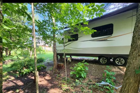  In The Forest Accommodation