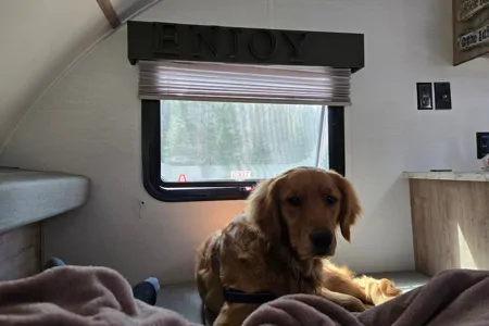 Trail Boss!