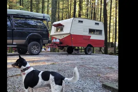 Rolando's Shasta 1978 Travel Trailer