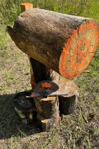 Halfmoon Woods Cabin on Wheels