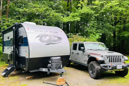 CRisnah's Forest River cherokee wolf pup Travel Trailer