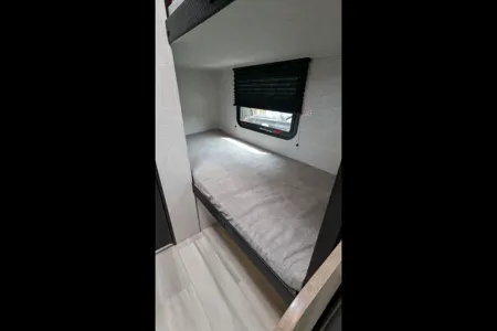 Our Brand New Cozy Colt