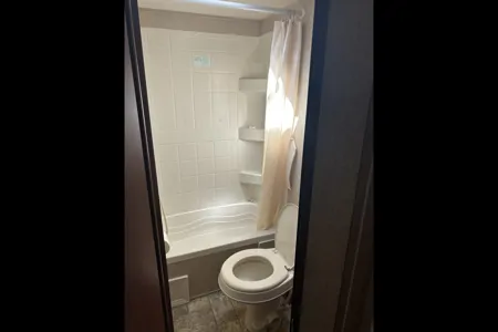 Dennis's Forest River Canyon Cat Travel Trailer