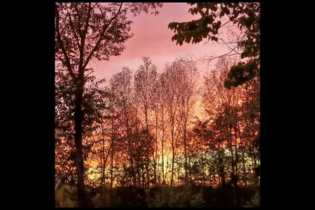 OUR PLACE RV Cottage