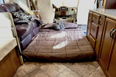 DAVID's Thor Motor Coach ace 30.1 Class A