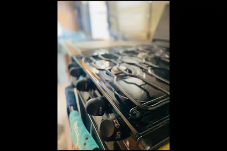 THE FORESTER 2006 Forest River Class C RV