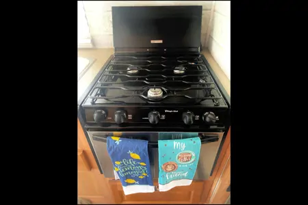 THE FORESTER 2006 Forest River Class C RV