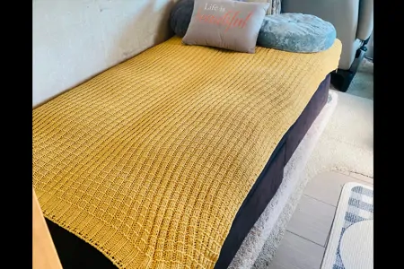 THE FORESTER 2006 Forest River Class C RV