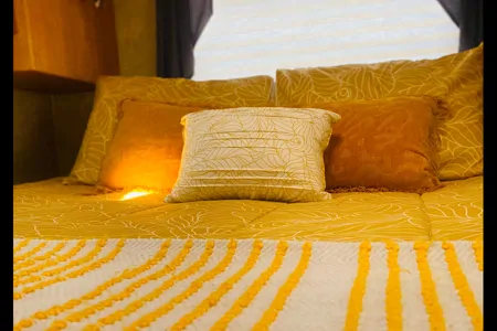 THE FORESTER 2006 Forest River Class C RV